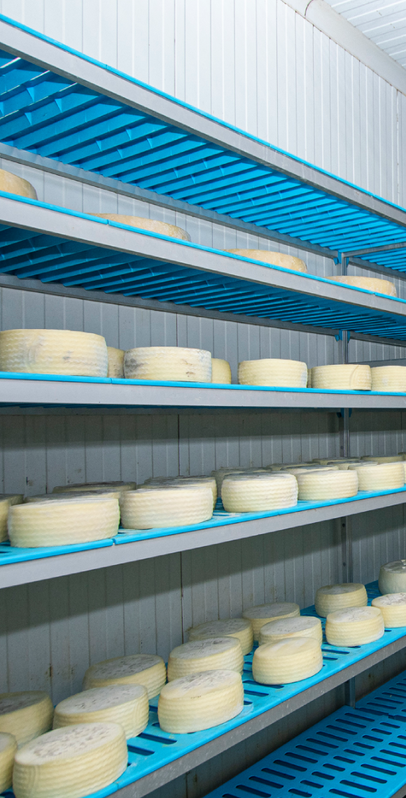 fábrica artesanal de quesos en Coín